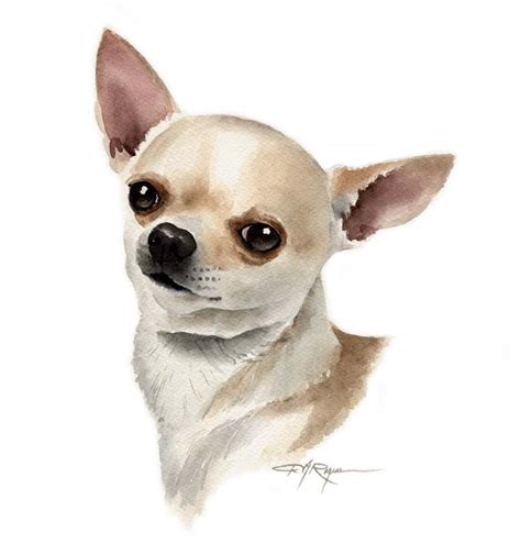 Chihuahua Art Print By Watercolor Artist Dj Rogers Etsy Chihuahua