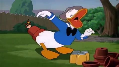 Donald Duck Cartoons Old School Youtube