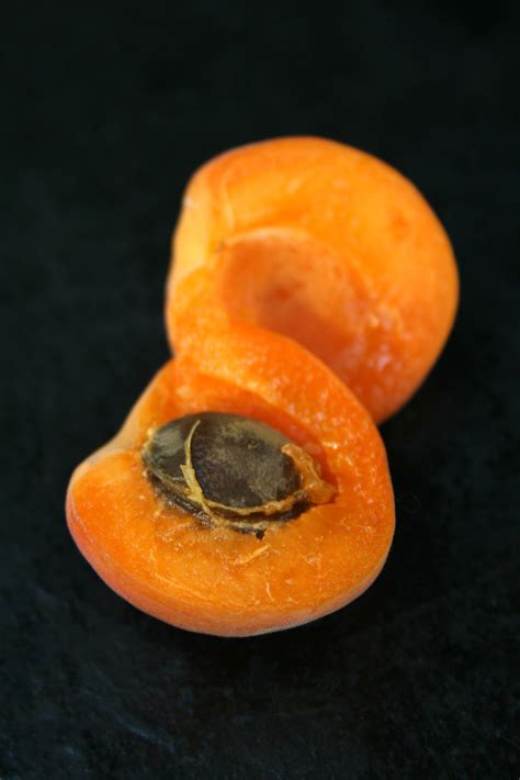 Apricot Apricot Chabacano Visita Casa Gregorio Greg Flickr Flickr