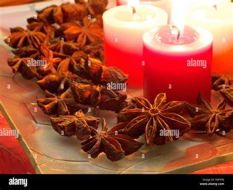 Star Anise Plant Hi Res Stock Photography And Images Alamy