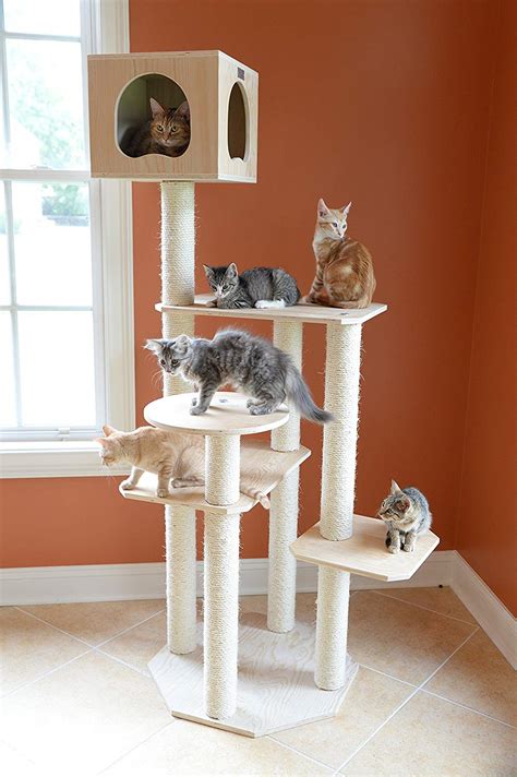 3.2k likes · 2 talking about this. Best Cat Tree Without Carpet Ideas - Cool Cat Tree Plans