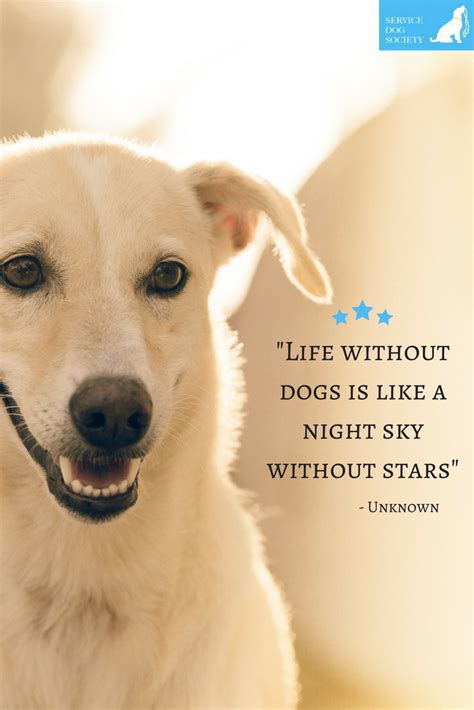 Life Without Dogs Is Like A Night Sky Without Stars Unknown