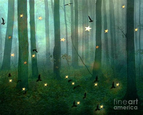 Surreal Dreamy Fantasy Nature Fairy Lights Woodlands Nature Fairytale