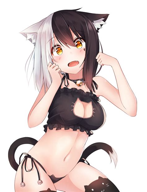 Cat Girl Original Characters Boobs Belly Open Mouth Anime Anime