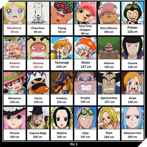 One Piece Tổng Hợp Chiều Cao Thực Tế Của Tất Cả Những Nhân Vật Từng