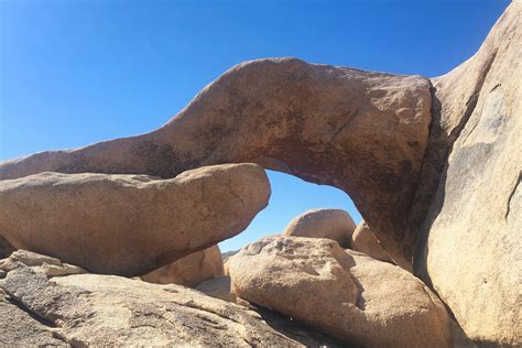 A Trip To Joshua Tree National Park