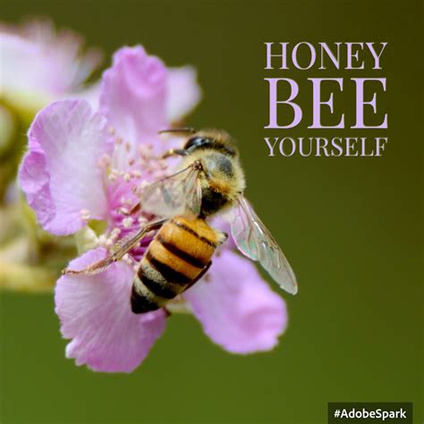 Inspirational Honey Bee Yourself Honey Bee Images Free Photos