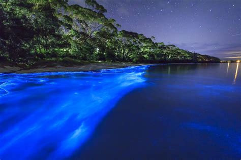 Bioluminescent Waves Vaadhoo Island Maldives Maldives Most Beautiful
