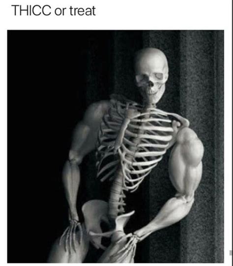 Thicc Or Treat Thicc Or Treat Buff Skeleton Know Your Meme