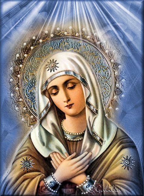 Santa María Madre De Dios Y Madre Nuestra María Madre De Misericordia
