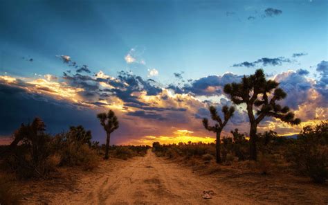 Mojave Desert Sunset Full Hd Wallpaper And Background