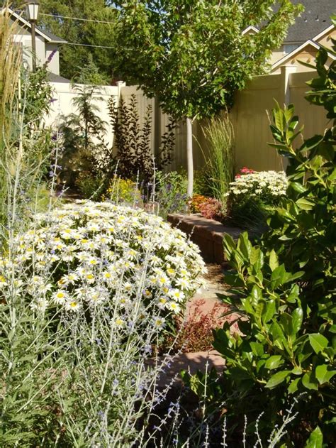 Xeriscapes And Waterwise Landscapes Water Wise Landscaping Dry Garden