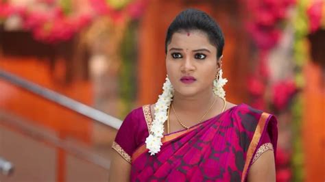 Watch Sembaruthi Tv Serial 12th April 2019 Full Episode 450 Online On Zee5