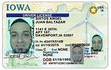 Fake Security License Images