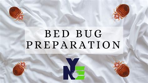 Bed Bug Preparation Nye Pest Control