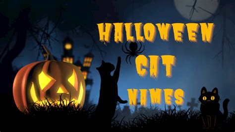 Halloween Cat Names Ideas For Your Spooky And Mysterious Cat