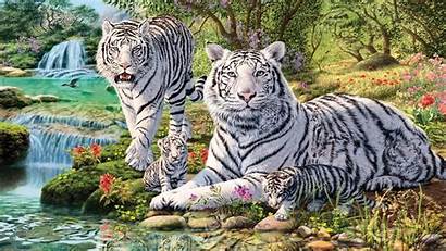 Tiger Jungle Animals Desktop Mobile Waterfall Cubs