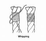 Pictures of Whipping Rack