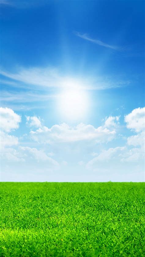 Free Download Sunny Bright Day Wallpaper Iphone Wallpapers 640x1136