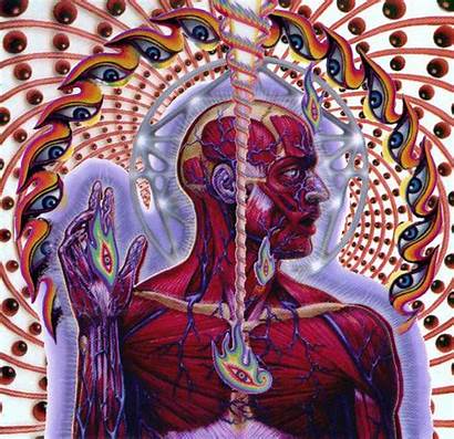 Lateralus Tool Album Band Sacred Geometry Allen