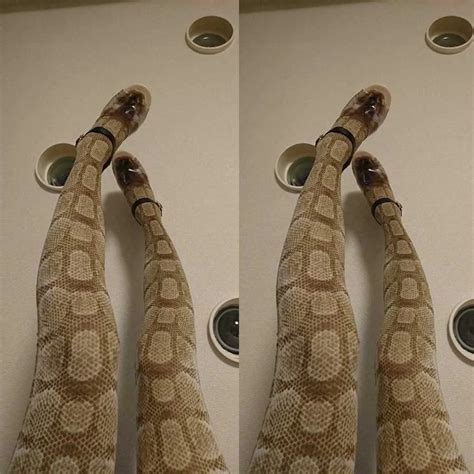 2019 New 3d Snake Animal Snakes Stockings Fashion Novelty Womens