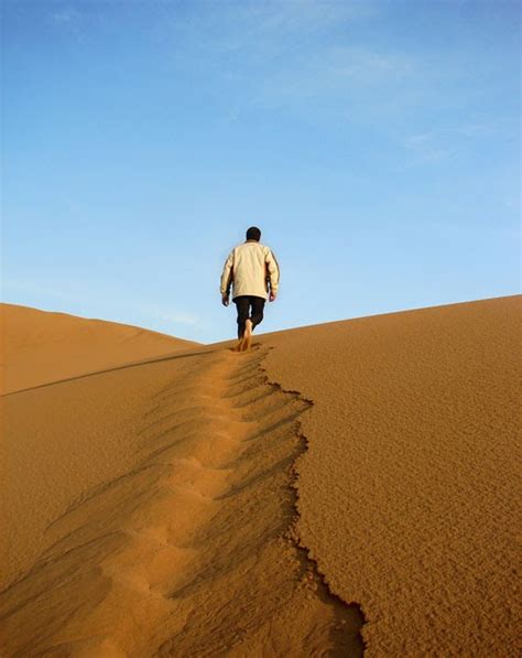 My Journey With Jesus 40 Day Lent Journey In The Desert