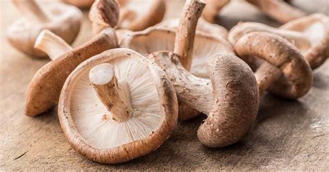 Shiitake Mushrooms Nutrition Facts And Potential Benefits Nutrition