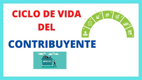 Cual Es El Ciclo De Vida Del Contribuyente Y Sus Etapas Ciclo Del