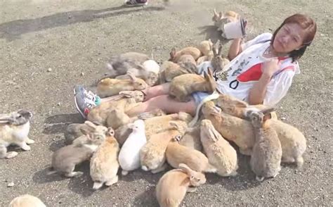 Watch So So Many Rabbits At Rabbit Island