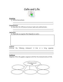 Page 1 of 14 amount of substance key terms in this chapter are: Characteristics Of Life Worksheet Answer Key Biology ...