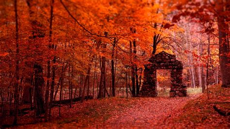 Stones Entrance Beautiful Red Leaves Autumn Trees Branches Forest