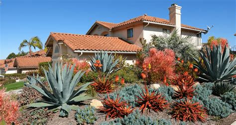 Desert Curb Appeal 10 Eco Friendly Ideas For Dry Climates