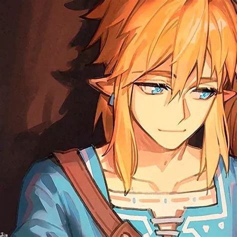 Matching Icons Zelda Link Pfp Zelda Link 1 1 2 Matching Icons