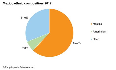 In 2013, racial or ethnic minorities comprised 27 percent of local police officers, the bureau of justice statistics(bjs) reported thursday that's up from 15 percent in 1987, the first year the periodic study was conducted, and 25 percent in 2007, the last year it was conducted. the iberian caste system - Latin America - Forum