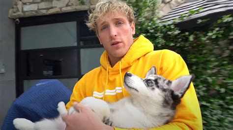 Logan Paul Denies Accusations That He Pushed His Dog Into A Lake Dexerto