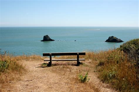 Lonely Bench Free Stock Photo Public Domain Pictures