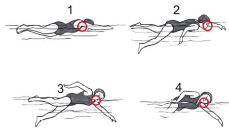 Teknik Renang Gaya Bebas Beserta Gambarnya Lengkap