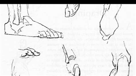 Foot Front View Drawing
