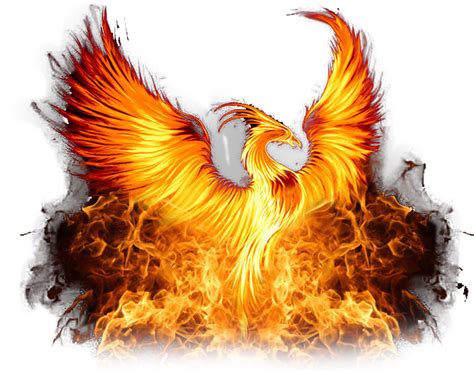 Phoenix Png Images Transparent Background Png Play My XXX Hot Girl