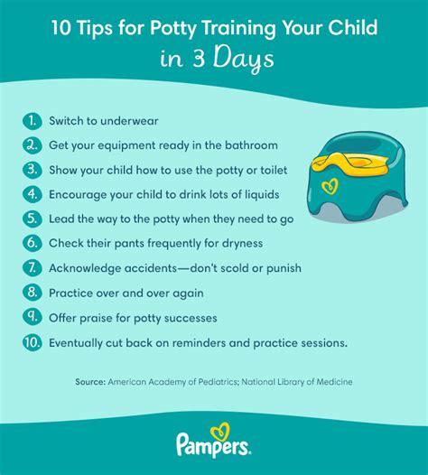 Best Potty Training Methods Two Moms And A Friend