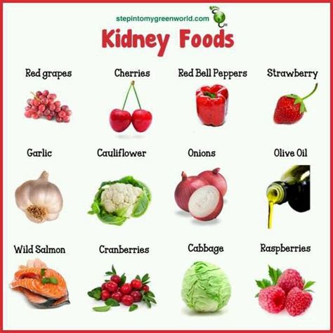 Diabetes is a group of diseases portrayed by high blood sugar levels (glucose in particular) that results from the body's inability to produce insulin (type 1 diabetes) or the inability of the body to use insulin (type 2 diabetes). Kidney foods | Renal Diet Recipes | Pinterest | Kidney disease, Chronic kidney disease and Food