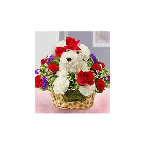Let conroy's flowers be your first choice for flowers in inglewood, stanton, cypress, anaheim, fullerton, buena park, orange, westminster, garden grove, huntington beach, seal beach, culver city, gardenia, venice, playa del rey. 1-800-FLOWERS® LOVE PUP™ | CONROY'S - LONG BEACH