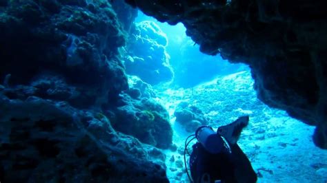 Diving Cozumel Swim Through Caves Dramatic Canyons Coral Reefs