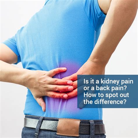 Kidney Pain In Back Location Kidney Failure Disease