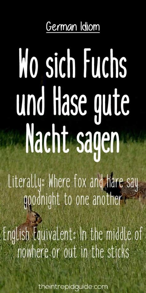 27 Hilarious Everyday German Idioms And Expressions German Language
