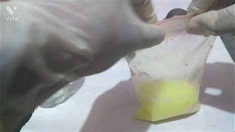 Banana Dna Extraction Youtube