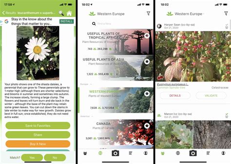 .identify selected wood species through a wood identification mobile phone application using android os. The 8 Best Plant Identification Apps of 2021