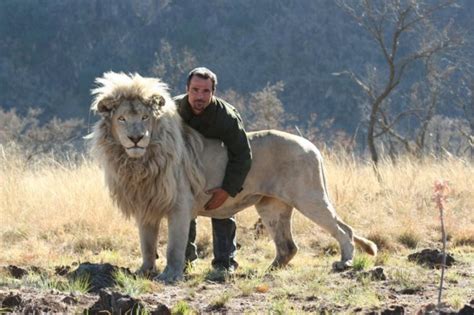 Lion Whisperer Gets Up Close And Personal With Wild Lions