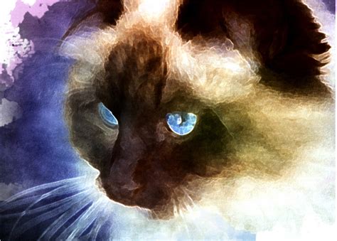 How to Turn Your Photos into Painterly Style Watercolor Art