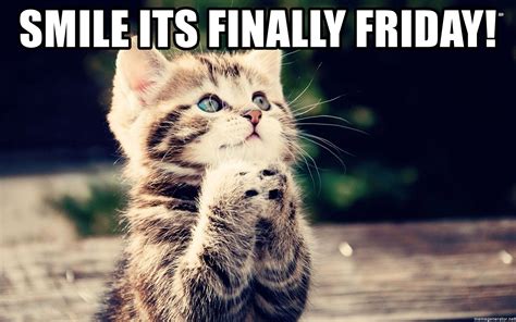 We Made It Its Finally Friday Friday Humor Funny Cat Pictures Tgif Images